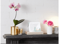 STIEN / STI.LL - Voor momenten die raken 